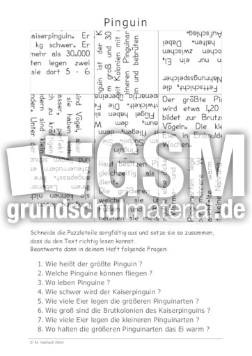 Pinguin.pdf